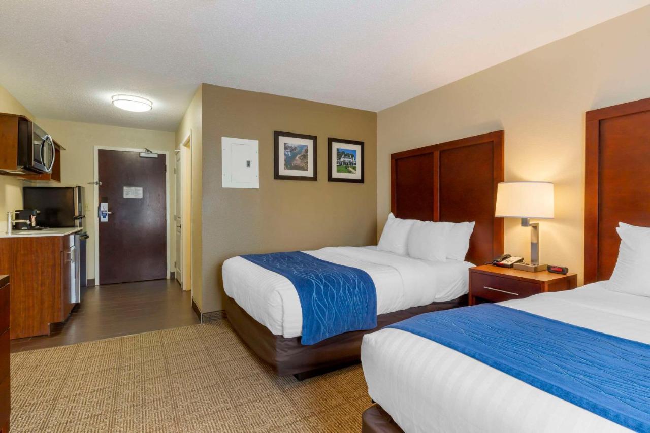 Comfort Inn Danvers - Boston North Shore Zewnętrze zdjęcie